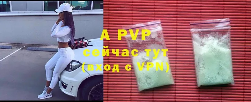 A PVP СК Камень-на-Оби