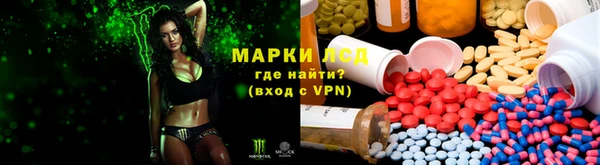 стафф Ладушкин