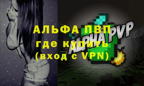 стафф Ладушкин