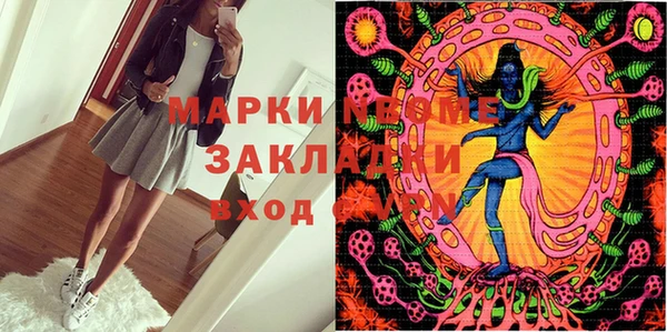 стафф Ладушкин
