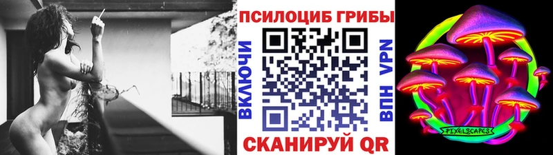 Псилоцибиновые грибы мухоморы  Камень-на-Оби 