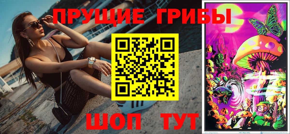 Галлюциногенные грибы ЛСД  Камень-на-Оби 